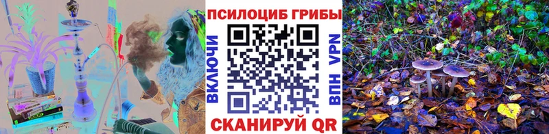 Псилоцибиновые грибы мухоморы продажа наркотиков Торжок