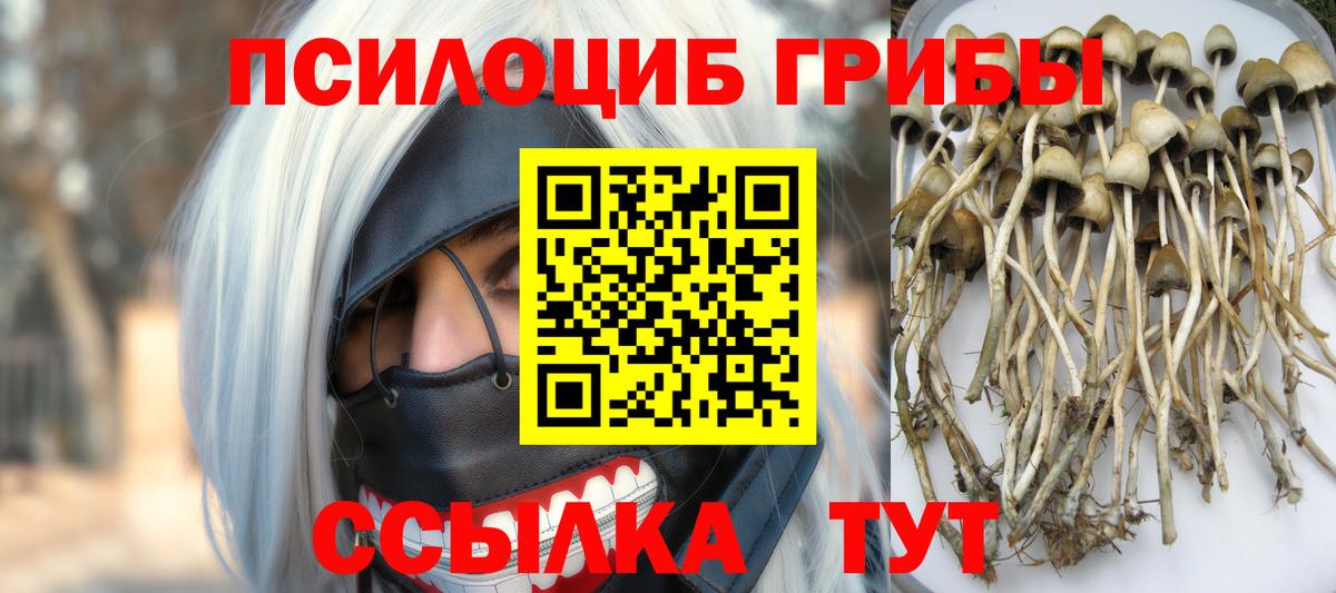 Галлюциногенные грибы мухоморы  продажа наркотиков  Торжок  Галлюциногенные грибы GOLDEN TEACHER  Вход с VPN 