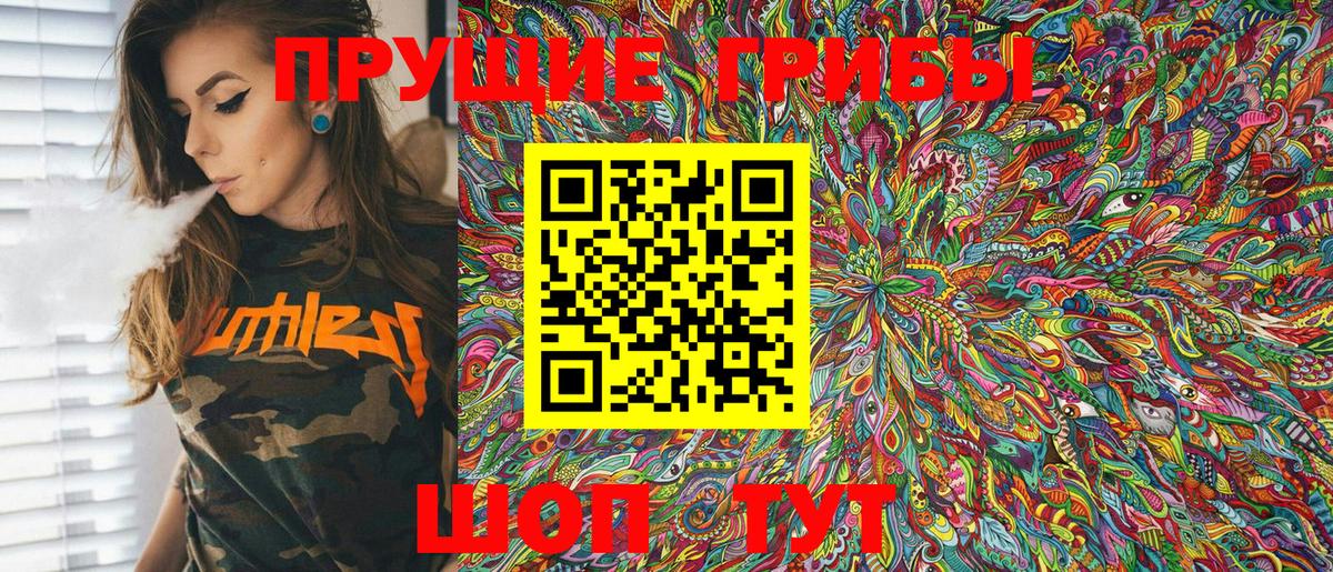 Псилоцибиновые грибы Cubensis Торжок