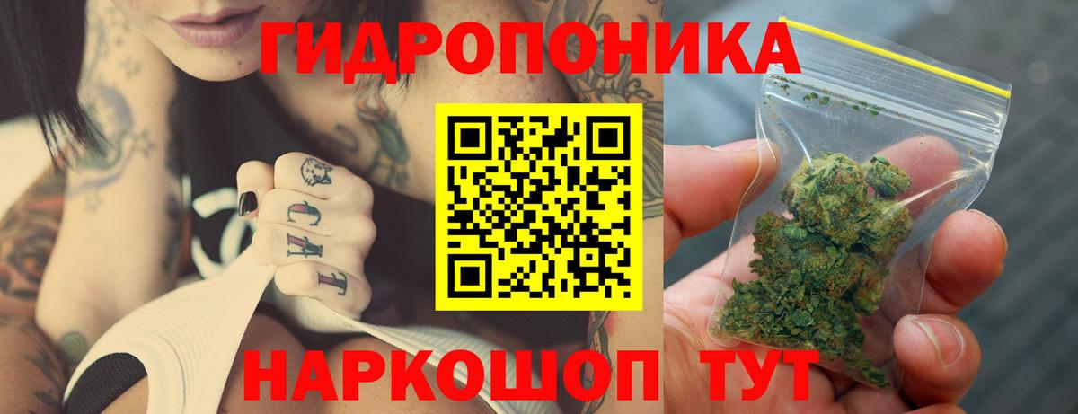 Марихуана конопля  Вход с VPN  Торжок  Бошки марихуана SATIVA & INDICA 